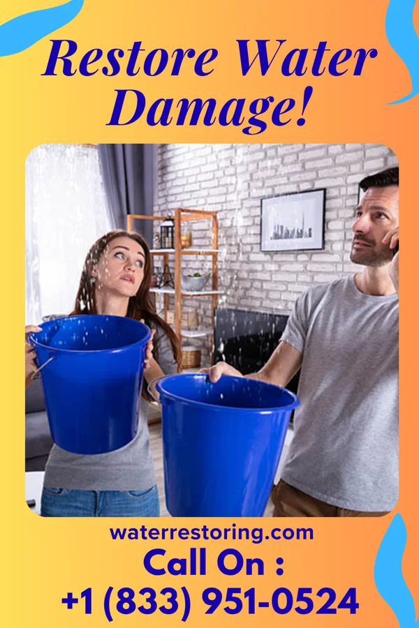 water restoration Citywide Damage Recovery Team Deal Island